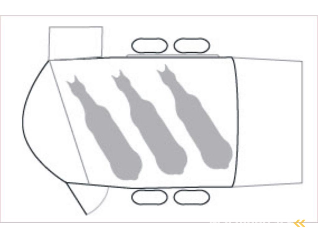 Cheval Liberte Maxi3 3 paards paarden trailer