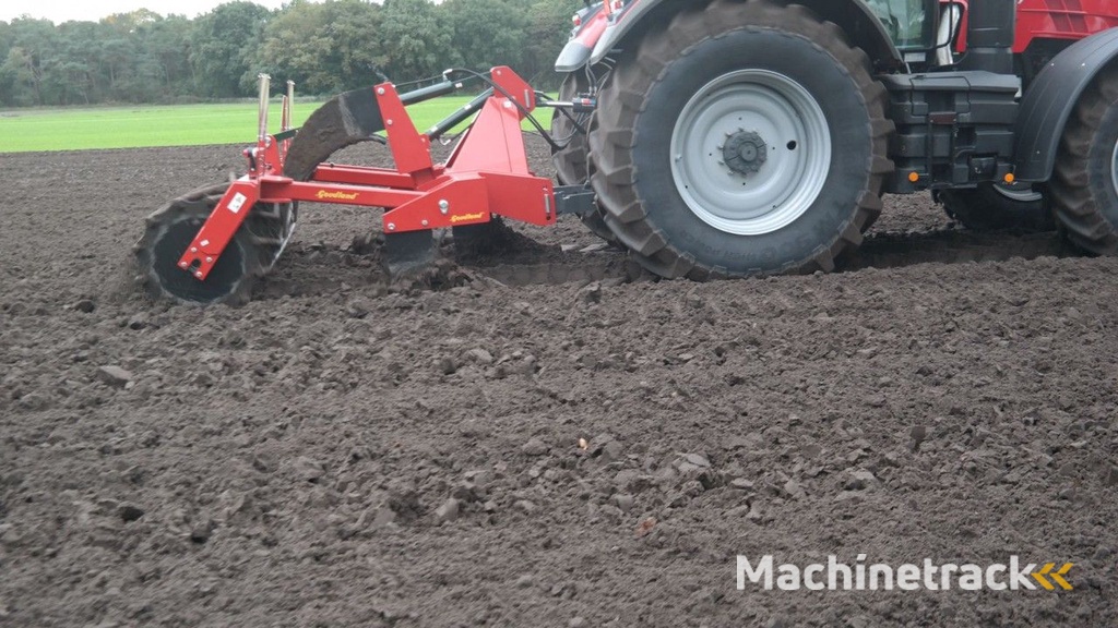 Goudland W5PSH woelpoot