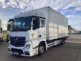 Minituur van Mercedes Actros