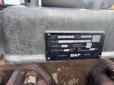 Thumbnail of DAF 2300