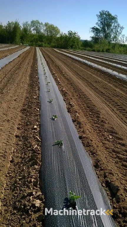 Plantmachine voor groenten, Pflanzmaschine für Gemüse