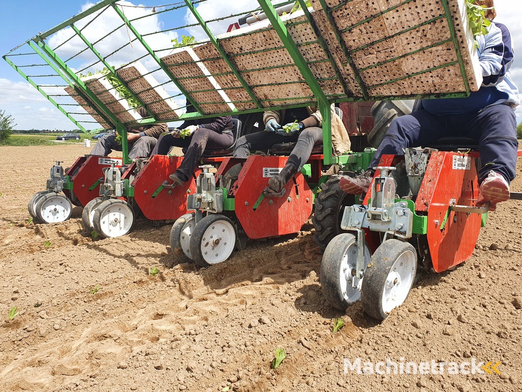 Plantmachine voor groenten, Pflanzmaschine für Gemüse