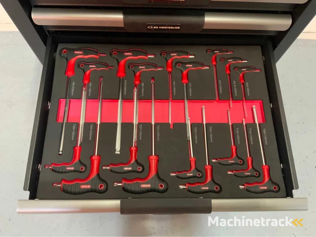 SG Werkzeuge Gereedschapswagen 266-delig