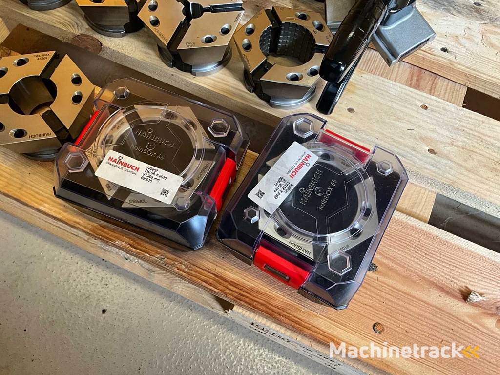 Hainbuch Spannelement (24x)