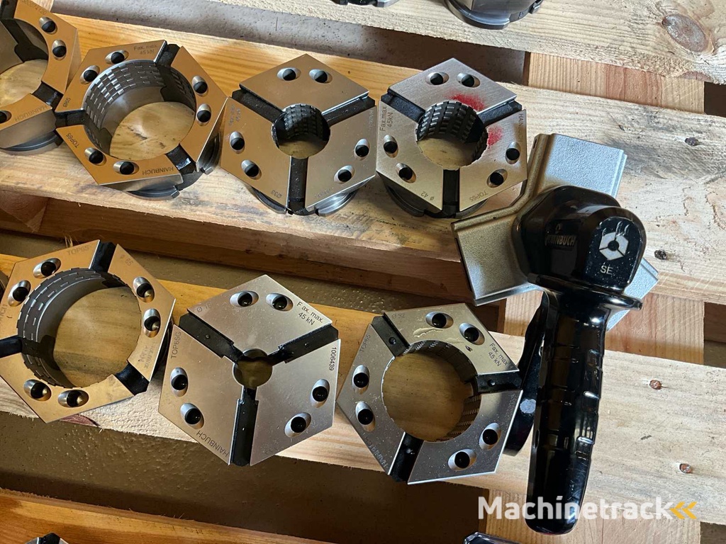 Hainbuch Spannelement (24x)