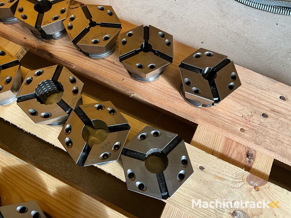 Hainbuch Spannelement (24x)