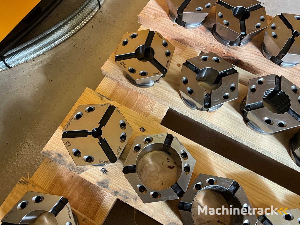 Hainbuch Spannelement (24x)