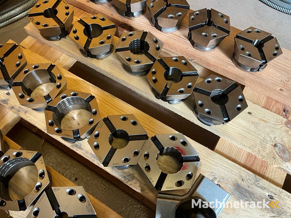 Hainbuch Spannelement (24x)