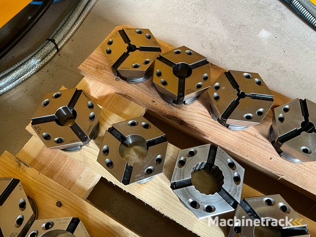 Hainbuch Spannelement (24x)