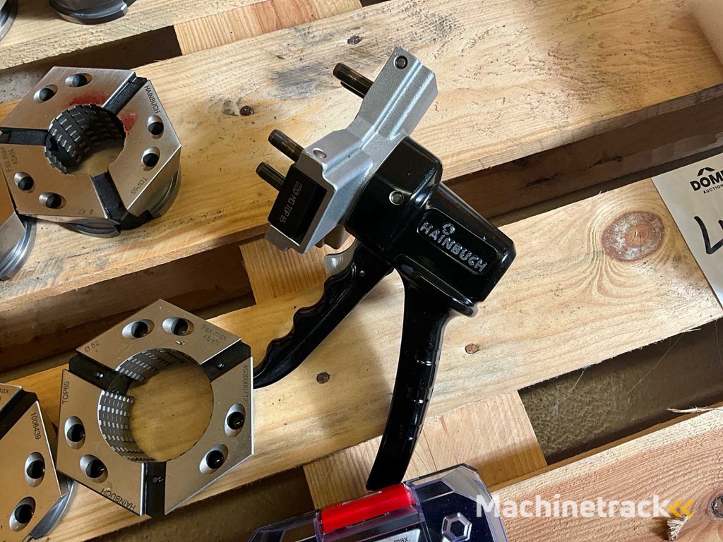 Hainbuch Spannelement (24x)