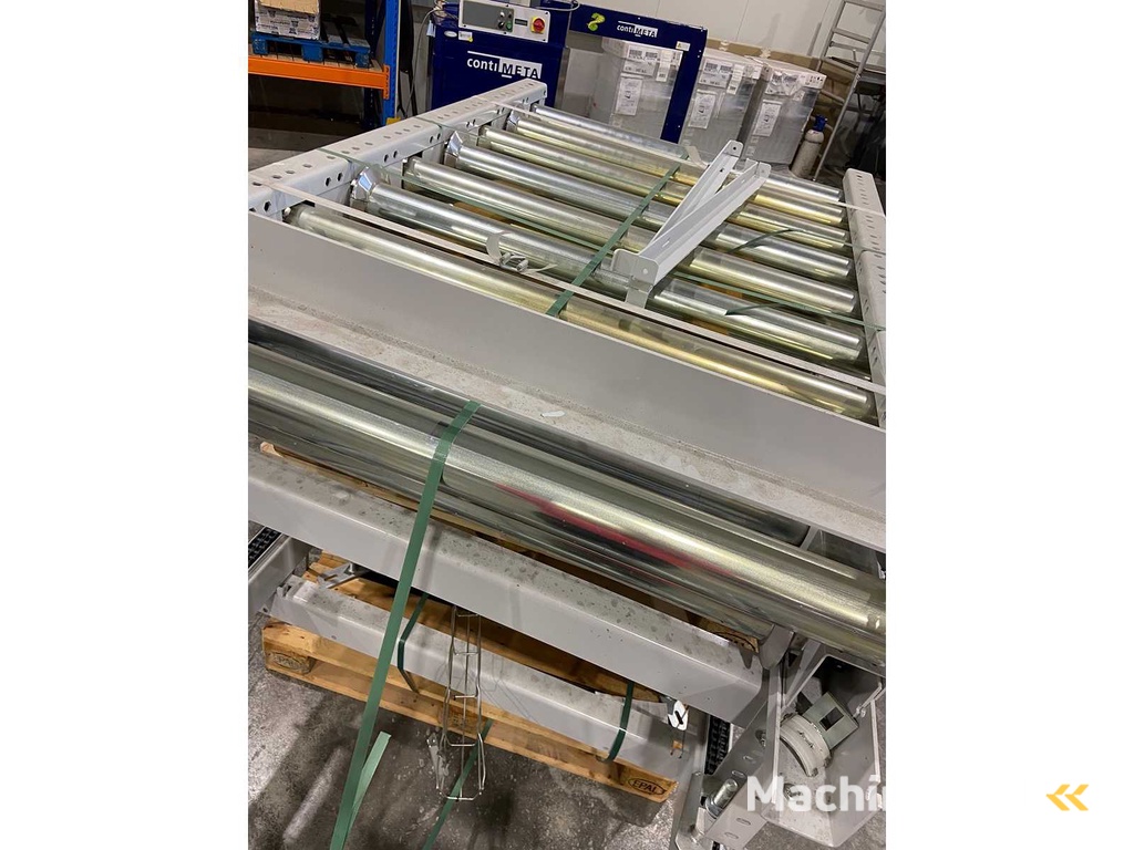 Dematic - 2019 - Roller conveyor and pallet chain