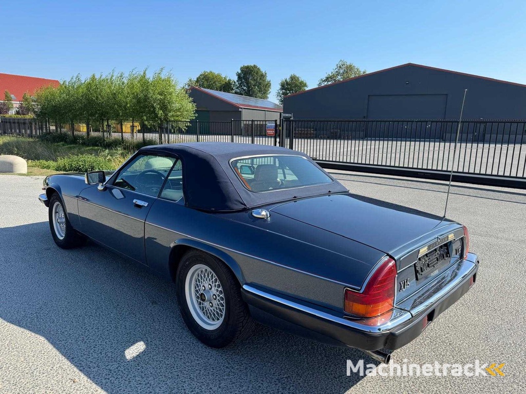 Jaguar XJS 5.3 V12 Cabrio 1. Besitzer 1702