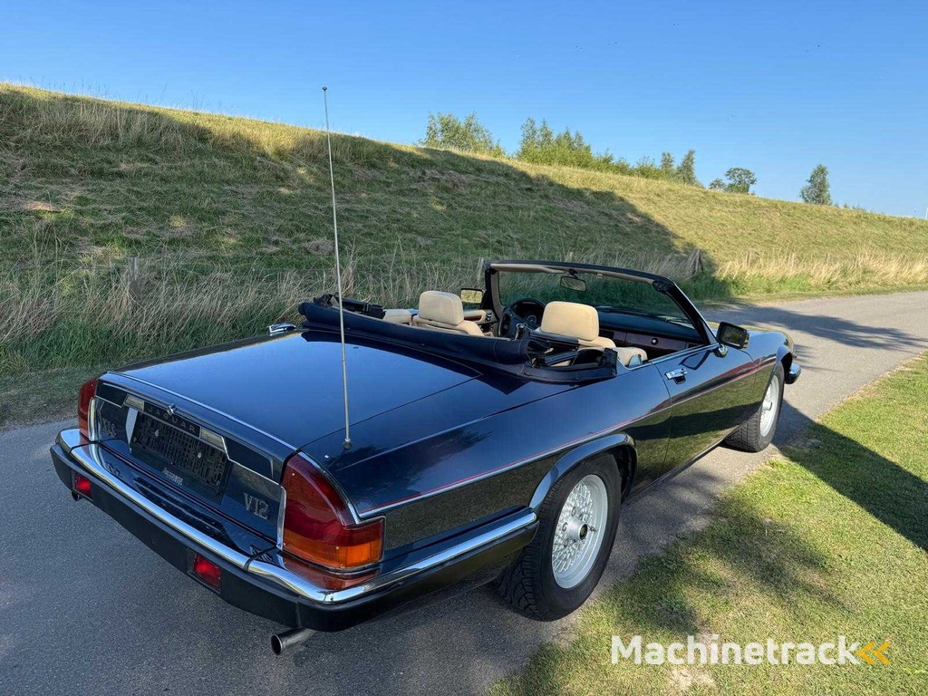 Jaguar XJS 5.3 V12 Cabrio 1. Besitzer 1702