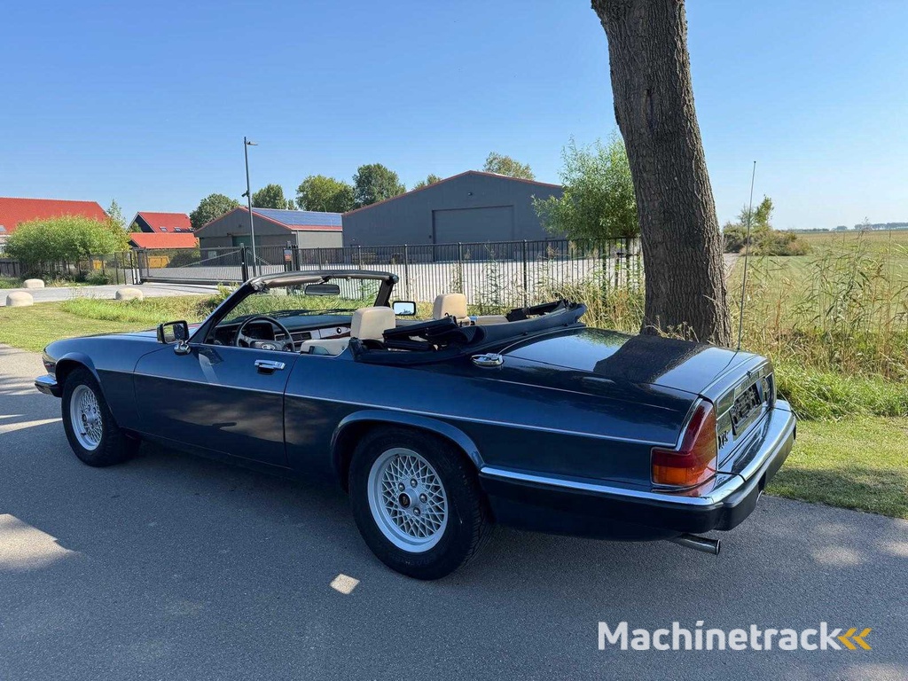 Jaguar XJS 5.3 V12 Cabrio 1. Besitzer 1702