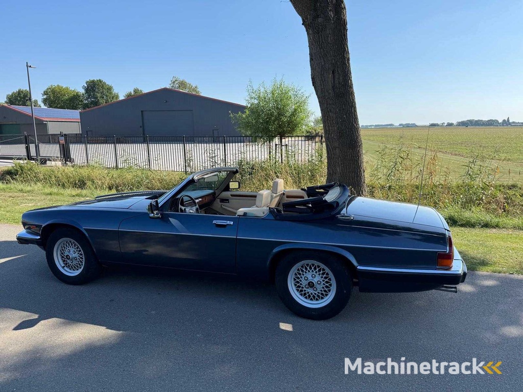 Jaguar XJS 5.3 V12 Cabrio 1. Besitzer 1702