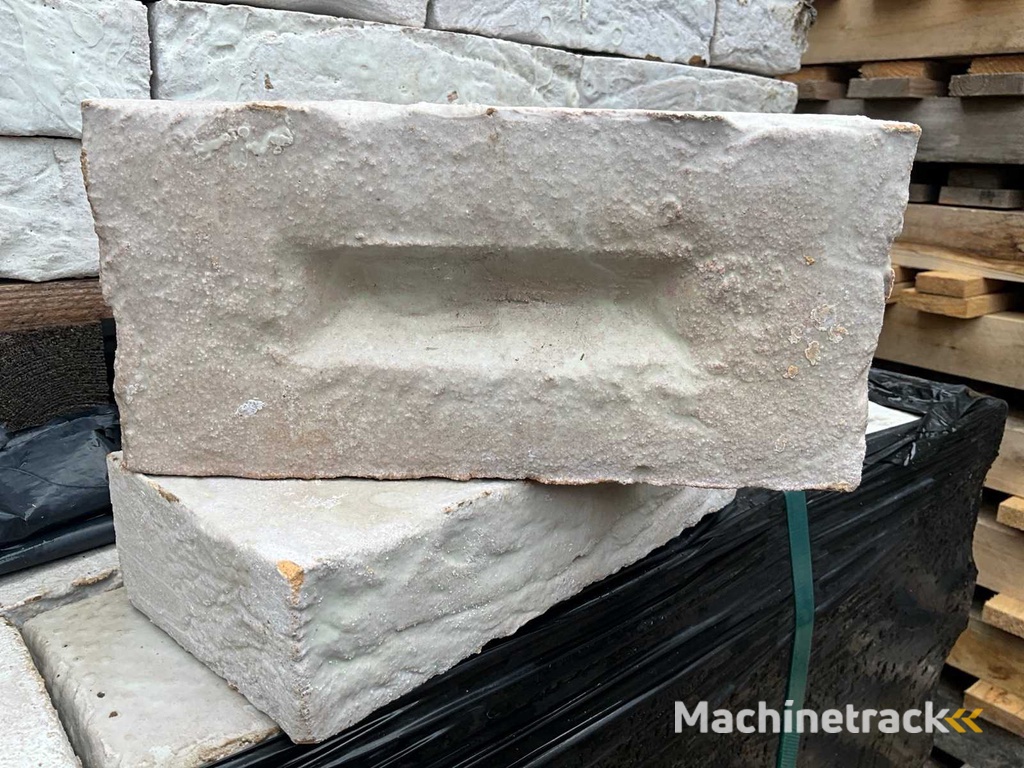 Facing bricks (6210x)