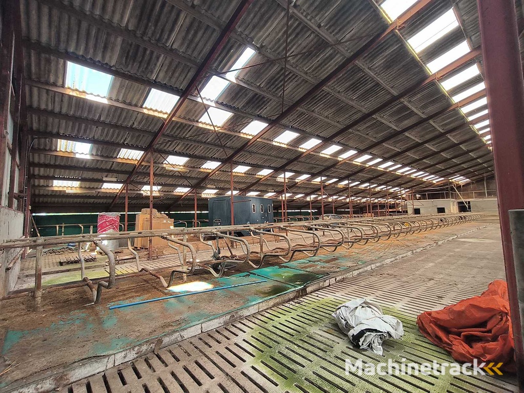 Halconstructie - 2010