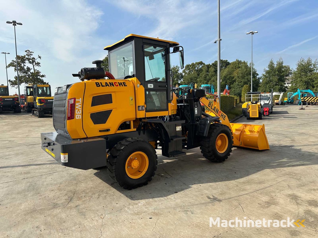 Blanche - 2025 - TW36 - Shovel