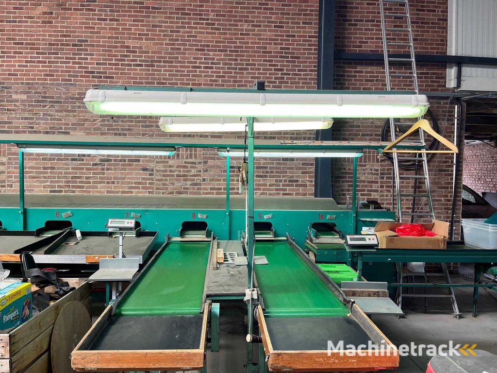 Schoemans 3-Spur-Sortiermaschine für Äpfel/Birnen