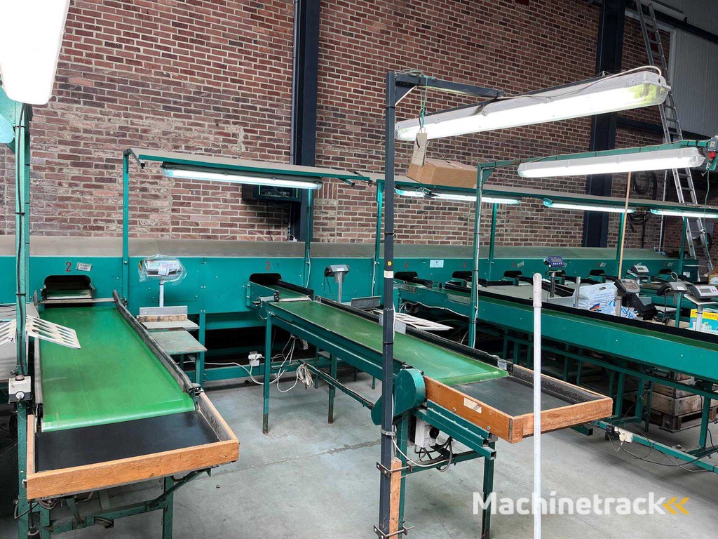 Schoemans 3-Spur-Sortiermaschine für Äpfel/Birnen