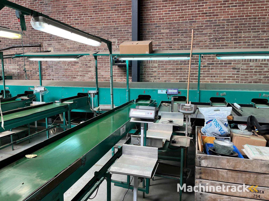 Schoemans 3-Spur-Sortiermaschine für Äpfel/Birnen