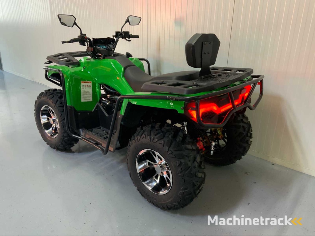 DW ATV 300cc Quad