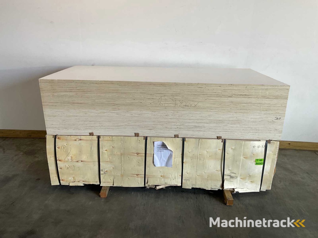 Populieren - multiplexplaat gelakt 250x122x1,8 cm (41x)