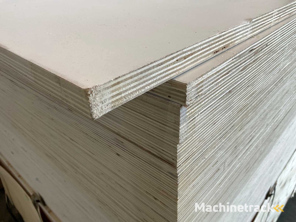 Populieren - multiplexplaat gelakt 250x122x1,8 cm (41x)