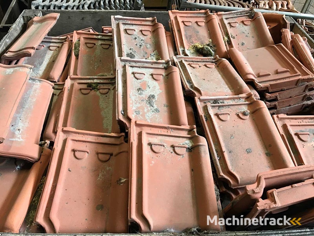 Dachziegel und Firstziegel (47x)