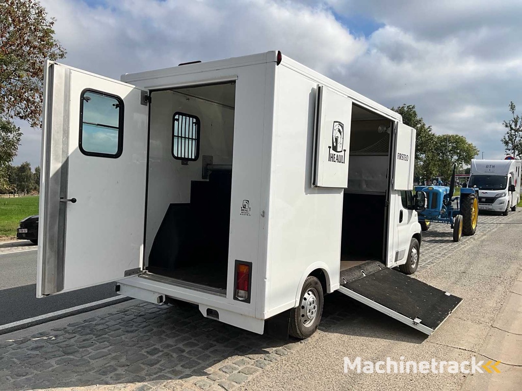 2013 Theault F3SI First Paardenvervoer