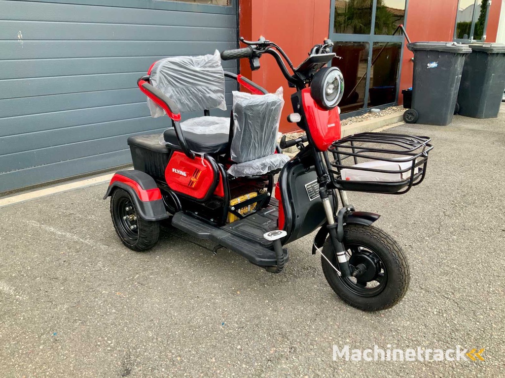 2025 MMS MS-D3 Elektrisches Dreirad/Elektromobil