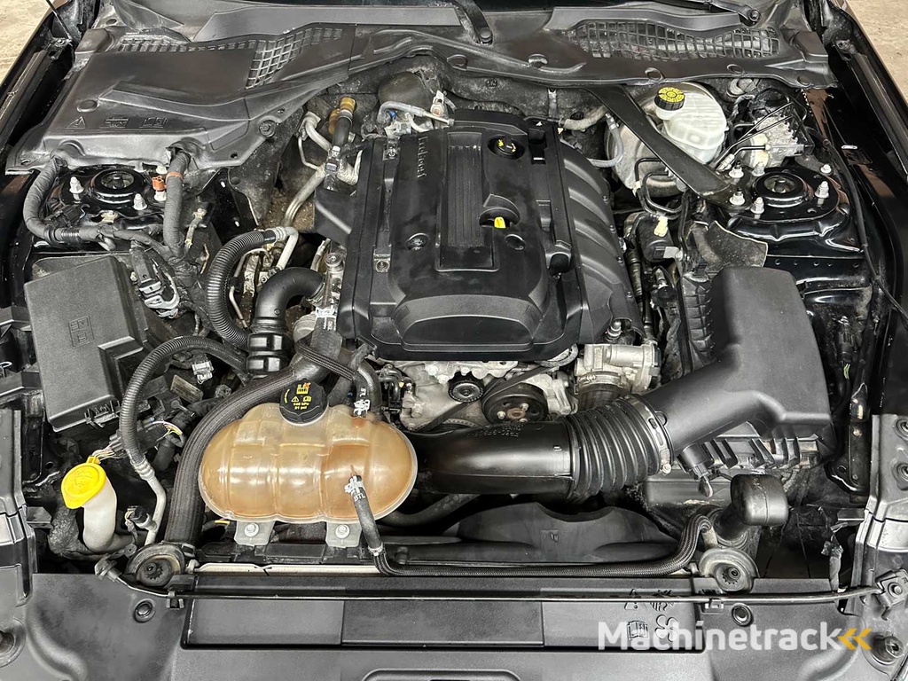 Ford Mustang Ecoboost Cabriolet 290PS 2019