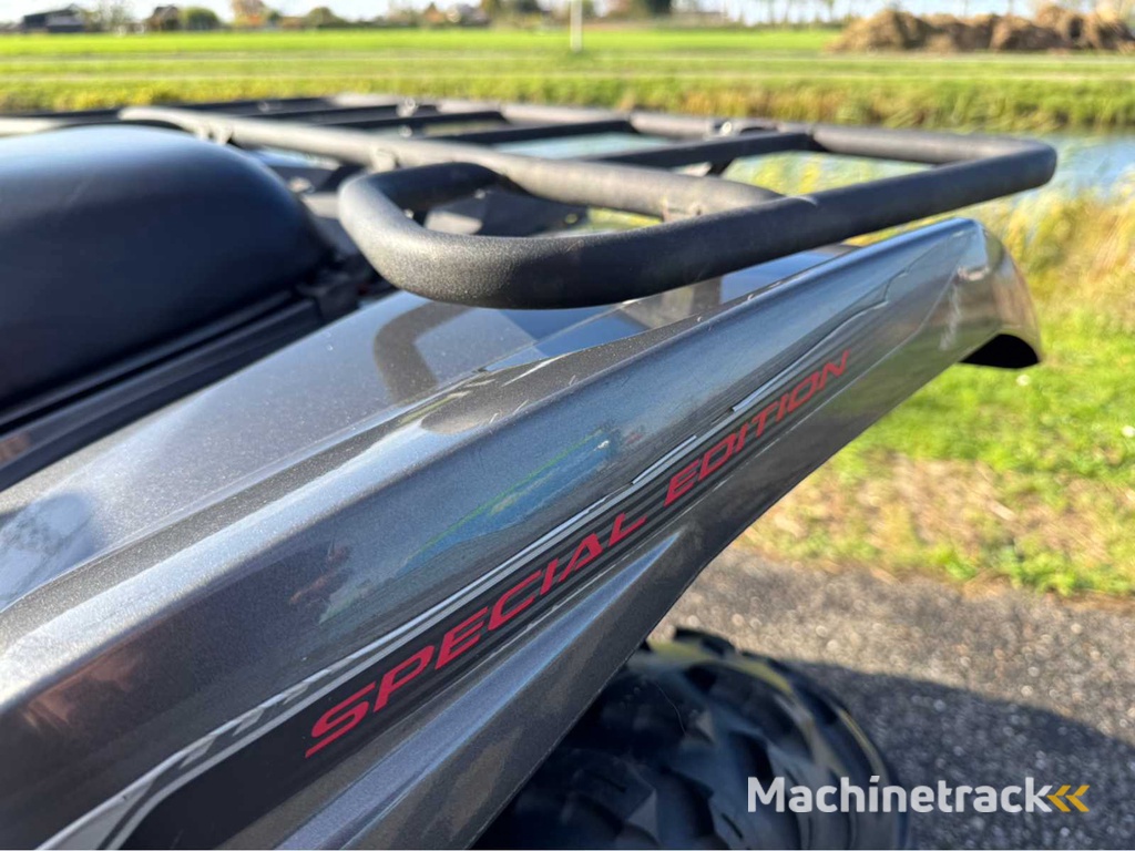 Yamaha - Grizzly 700 EPS Sondermodell 522km - Quad