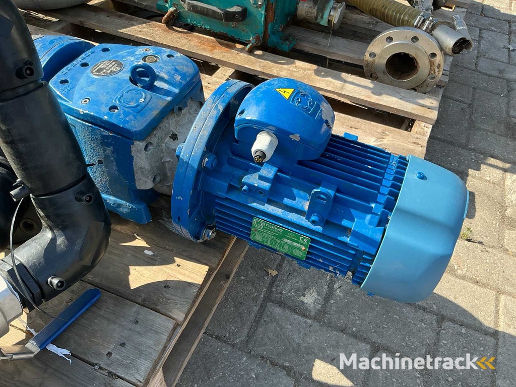 BPI 30DNL1 2018 , BPI16DNL1 2019 Verdrängerpumpe (2x)