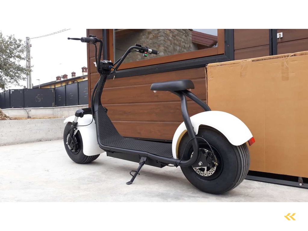 Batteriebetriebenes Fahrzeug