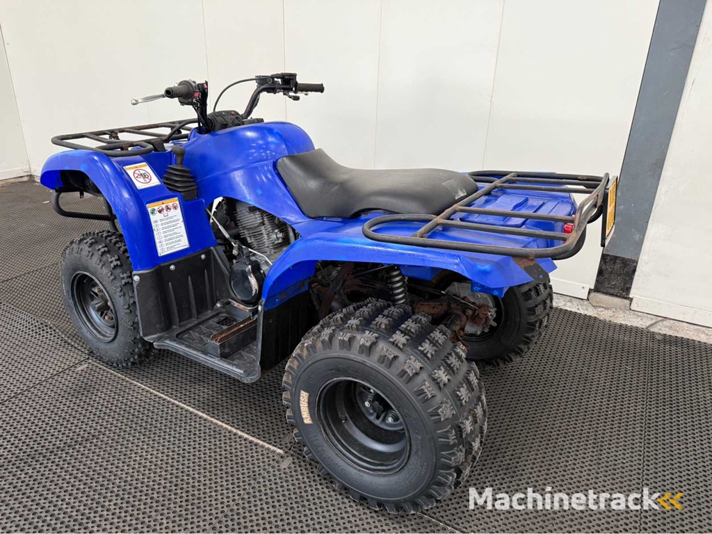 Yamaha - Quad - 2010