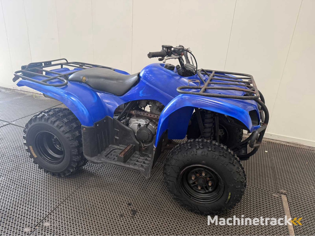 Yamaha - Quad - 2010