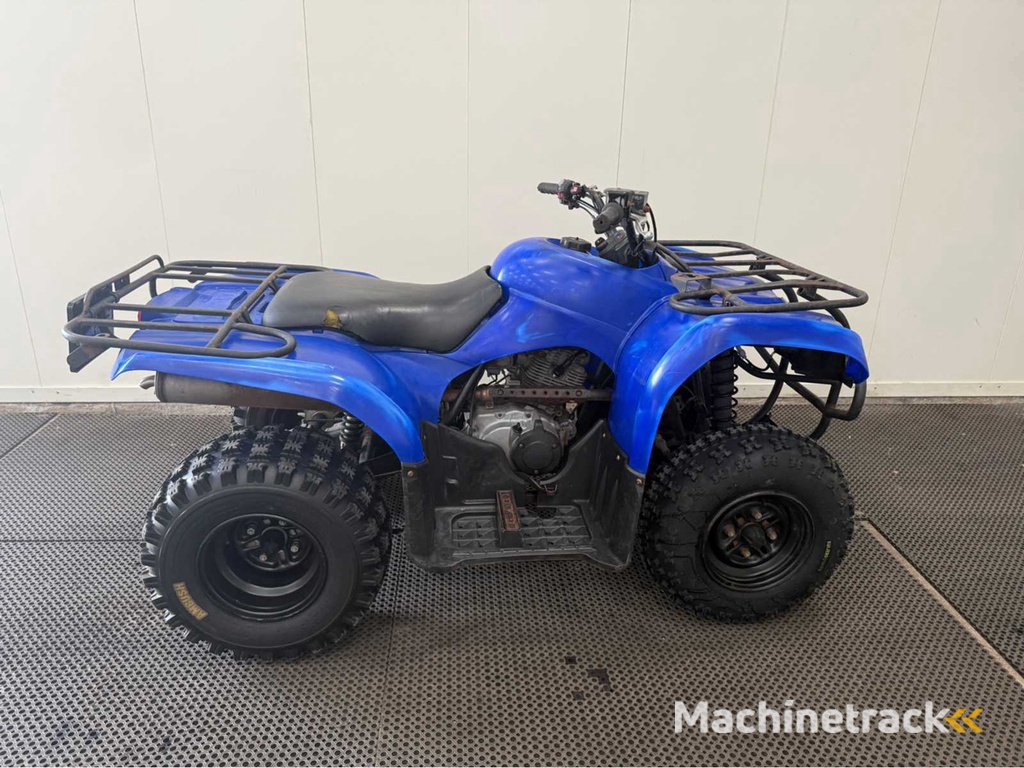 Yamaha - Quad - 2010