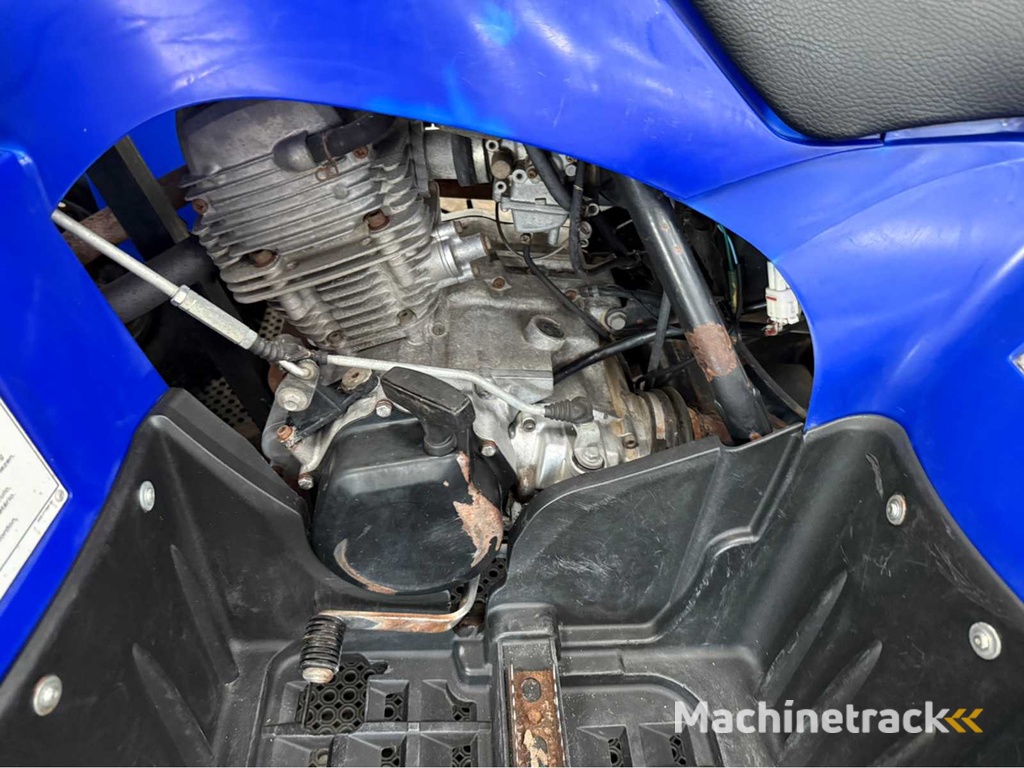 Yamaha - Quad - 2010