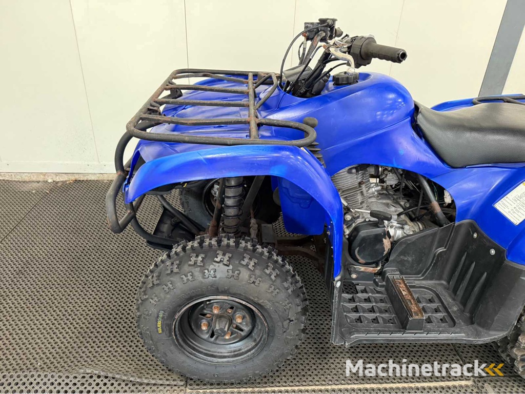 Yamaha - Quad - 2010