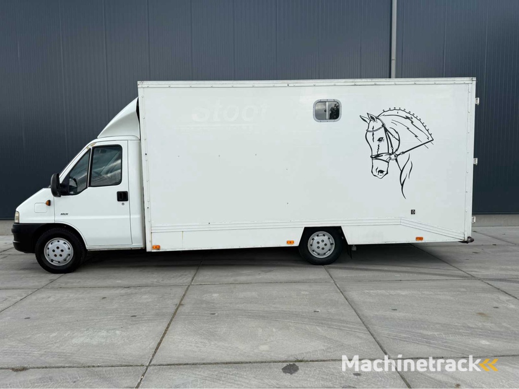 Peugeot - Boxer - Pferdetransporter B Führerschein - Nutzfahrzeug - 2006