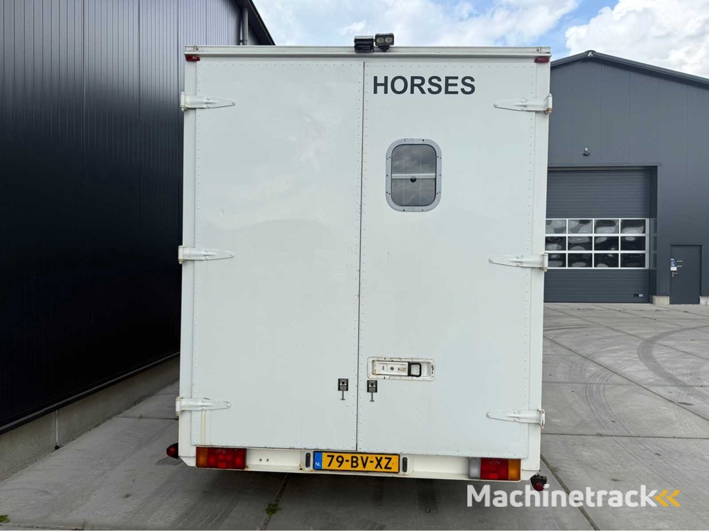 Peugeot - Boxer - Pferdetransporter B Führerschein - Nutzfahrzeug - 2006