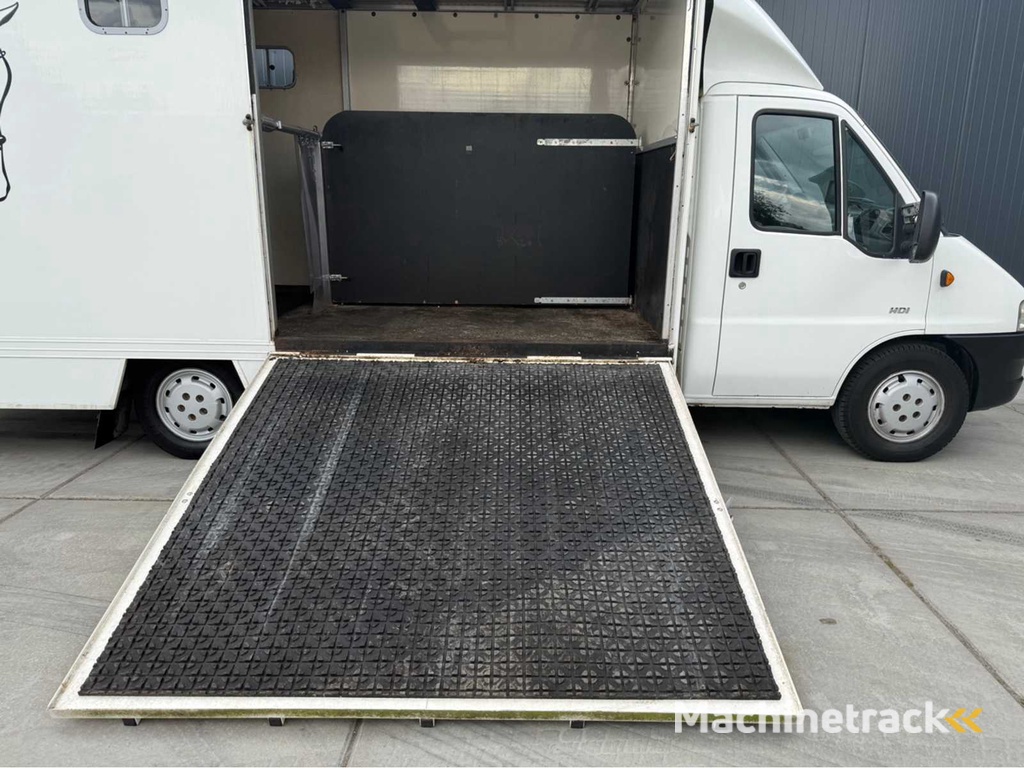 Peugeot - Boxer - Pferdetransporter B Führerschein - Nutzfahrzeug - 2006