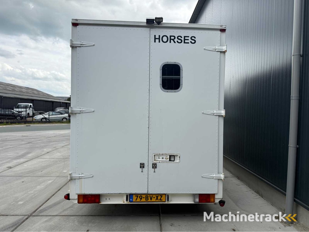 Peugeot - Boxer - Pferdetransporter B Führerschein - Nutzfahrzeug - 2006