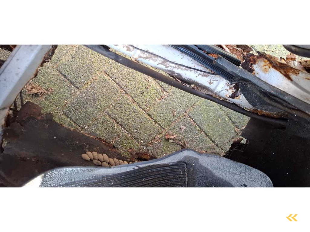 Volkswagen - Pickup - Caddy - Deutsch