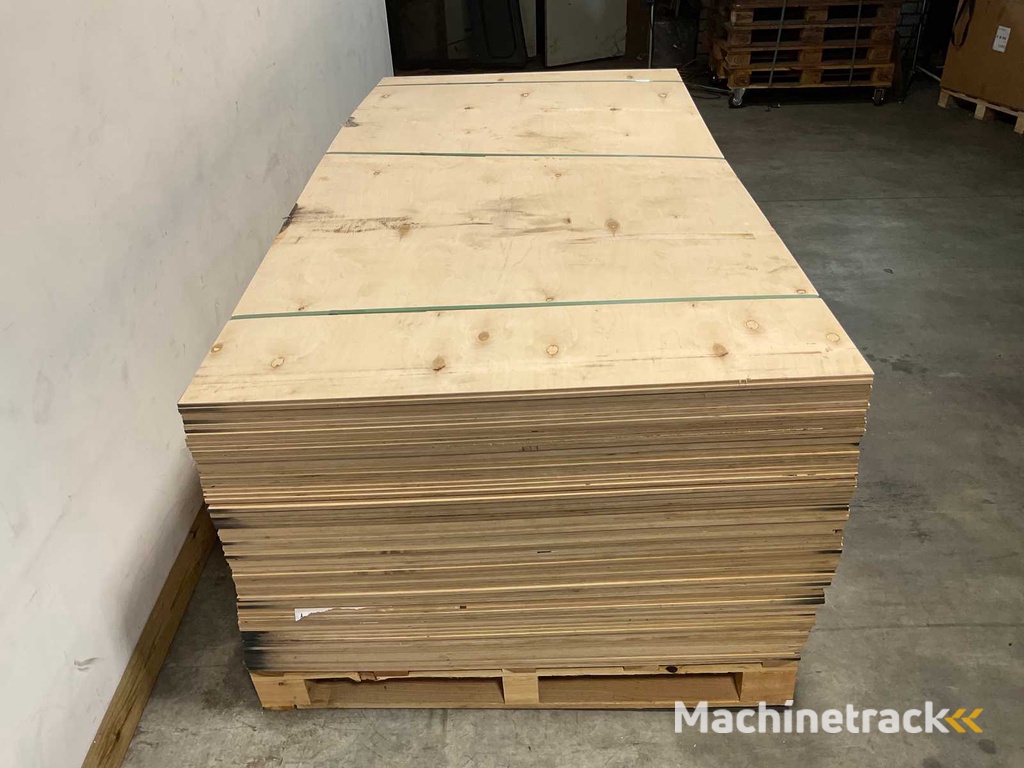 Sperrholzplatte - 250x125x0,9 cm (50x)