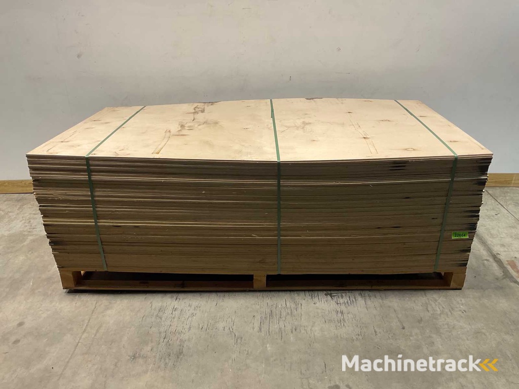 Sperrholzplatte - 250x125x0,9 cm (25x)