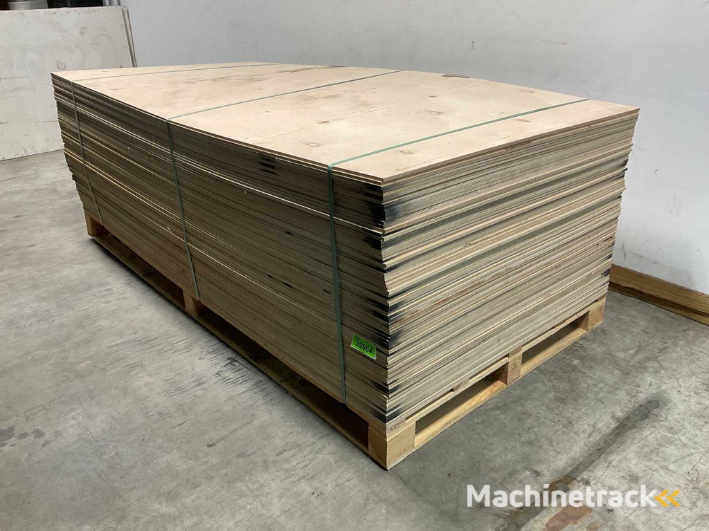 Sperrholzplatte - 250x125x0,9 cm (25x)