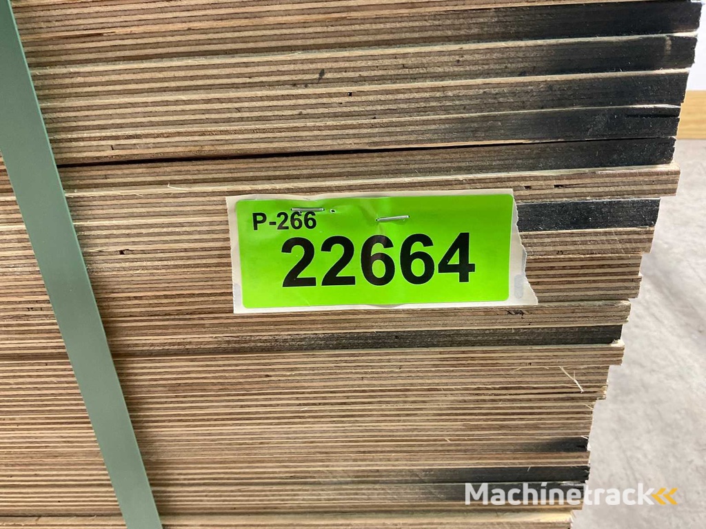 Sperrholzplatte - 250x125x0,9 cm (25x)