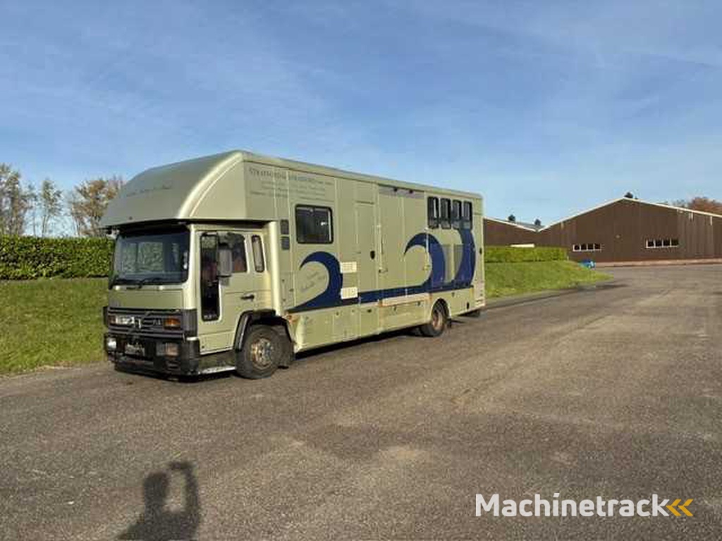 1993 Volvo FL 612 LKW Pferdeanhänger